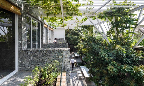 Vườn rau siêu lạ trong biệt thự Sài Gòn trên báo ngoại