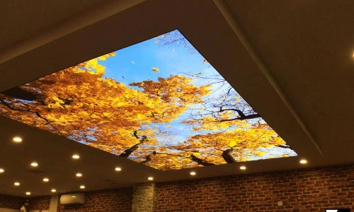 Mê mẩn những mẫu trần nhà 3D đẹp lung linh