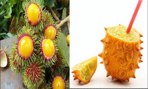 Quả lạ hot nhất mùa hè năm nay khiến chị em phát cuồng