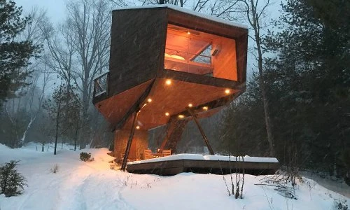 Ngất ngây nhà gỗ nhỏ xinh giữa rừng già thơ mộng