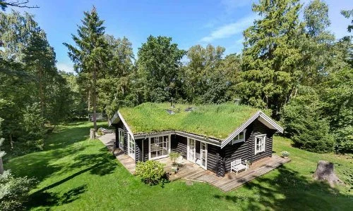 Độc đáo nhà gỗ có cỏ mọc trên mái siêu đẹp giữa rừng