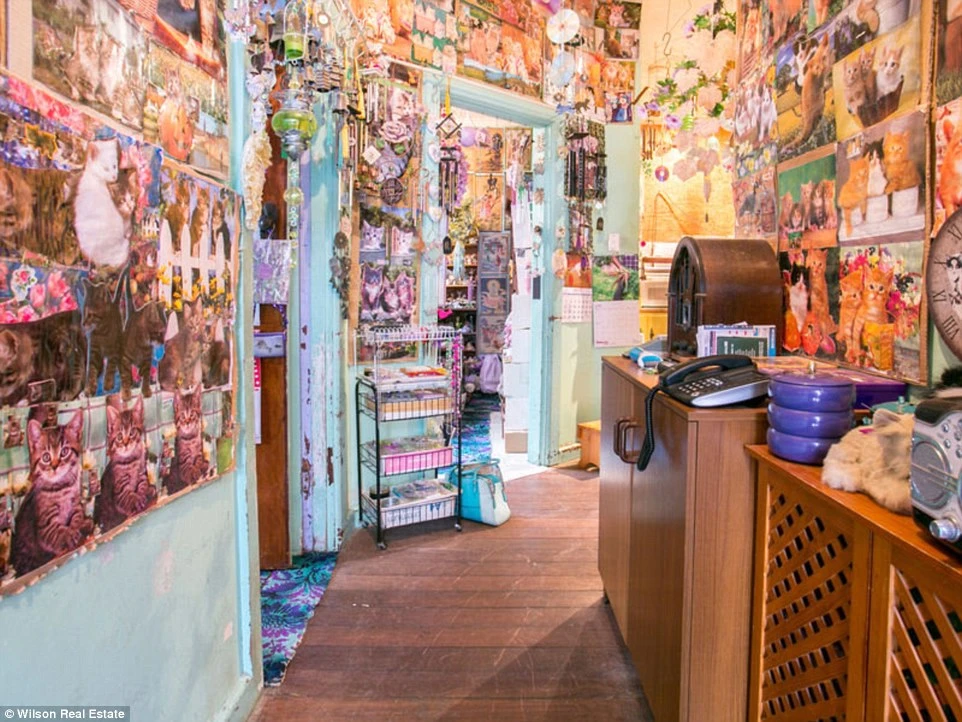 Bên trong ngôi nhà của một fan cuồng mèo