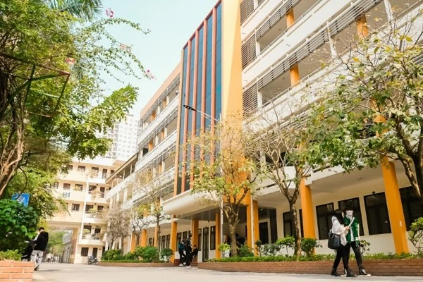 [VIDEO] Bộ Giáo dục đề xuất loại bỏ ngành học nếu 75% trường đồng ý