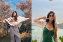 Hot face sao Việt: Hồ Ngọc Hà chụp cùng mai anh đào đẹp như tranh ở Đà Lạt