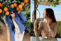 Hot face sao Việt: Diệp Bảo Ngọc chụp ảnh dưới cây cam trái sai lúc lỉu