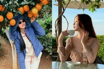 Hot face sao Việt: Diệp Bảo Ngọc chụp ảnh dưới cây cam trái sai lúc lỉu