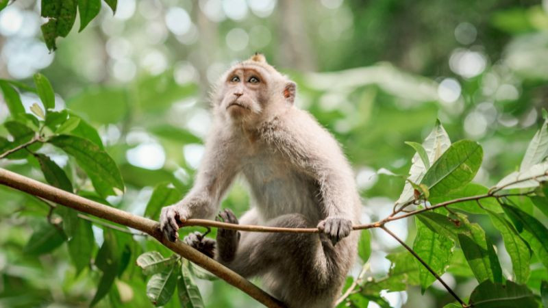  Lời khuyên: Giữ sự nhạy bén và nắm bắt cơ hội nhanh chóng. Tuy nhiên, hãy tỉnh táo trước những lời mời gọi đầu tư hấp dẫn nhưng thiếu cơ sở. (*Thông tin mang tính chiêm nghiệm)