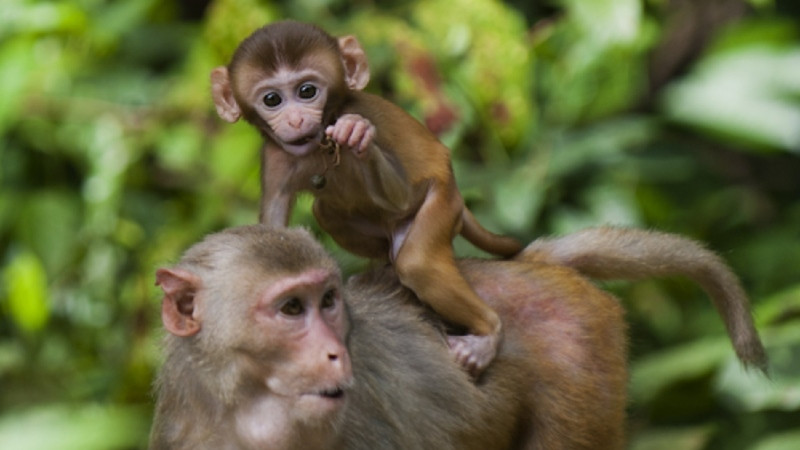 Trong cuộc sống, họ luôn giữ tinh thần lạc quan. Dù có chuyện gì xảy ra cũng luôn tích cực, truyền cảm hứng cho người khác. Chính tinh thần này giúp họ tránh xa tai họa, tận hưởng trọn vẹn mùa hè ngập tràn hạnh phúc.