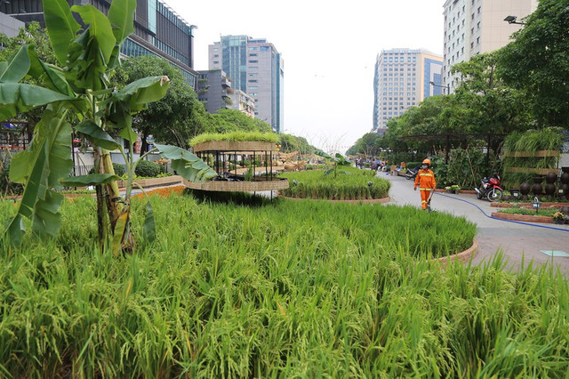 Cận cảnh Đường hoa Nguyễn Huệ 2022 trước ngày khai mạc - Hình 4 Can canh Duong hoa Nguyen Hue 2022 truoc ngay khai mac-Hinh-4