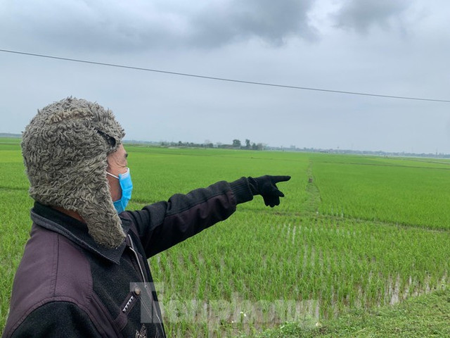 Sửng sốt vì đất nông thôn có giá khởi điểm 'trên trời' Sung sot vi dat nong thon co gia khoi diem 'tren troi'