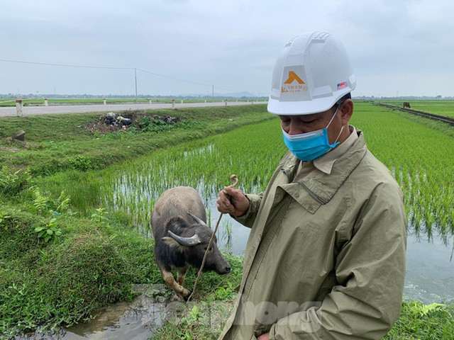 Sửng sốt vì đất nông thôn có giá khởi điểm 'trên trời' - Hình 2 Sung sot vi dat nong thon co gia khoi diem 'tren troi'-Hinh-2