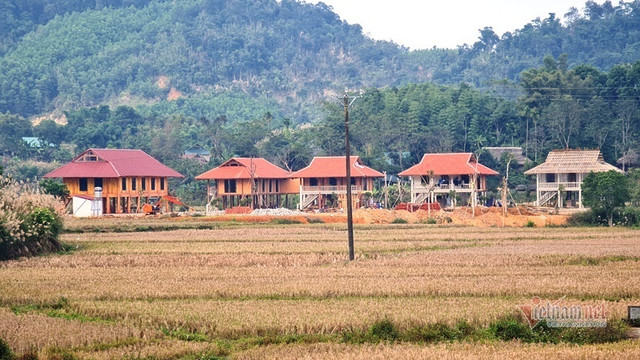 Cận cảnh những ngôi nhà xây trái phép trái phép trên đất trồng lúa ở Thanh Hóa - Hình 9 Can canh nhung ngoi nha xay trai phep trai phep tren dat trong lua o Thanh Hoa-Hinh-9