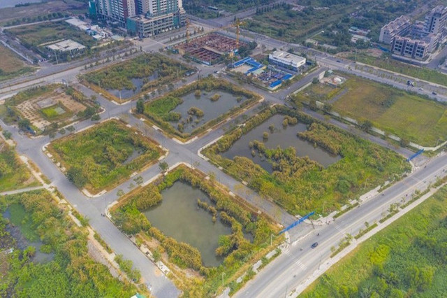 Bộ Tư pháp kiến nghị chế tài nếu doanh nghiệp bỏ cọc khi trúng đấu giá đất Bo Tu phap kien nghi che tai neu doanh nghiep bo coc khi trung dau gia dat