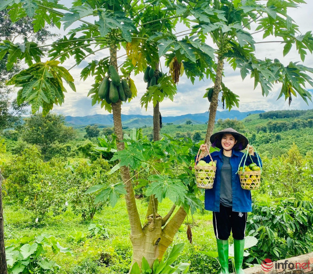 Cô giá xinh đẹp rời Sài Gòn sau 10 năm gắn bó về quê nuôi heo bản, trồng cây làm giàu Co gia xinh dep roi Sai Gon sau 10 nam gan bo ve que nuoi heo ban, trong cay lam giau