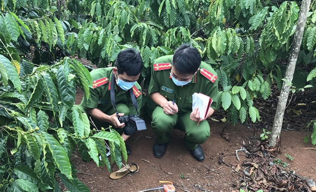 Thi thể cô gái trong rẫy cà phê: Nạn nhân quay cảnh ân ái với người tình nên bị giết - Hình 2 Thi the co gai trong ray ca phe: Nan nhan quay canh an ai voi nguoi tinh nen bi giet-Hinh-2
