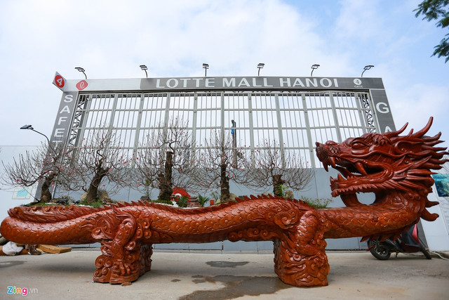Chậu hoa đào hình rồng giá hơn 1 tỷ chỉ đại gia mới có tiền mua - Hình 9 Chau hoa dao hinh rong gia hon 1 ty chi dai gia moi co tien mua-Hinh-9