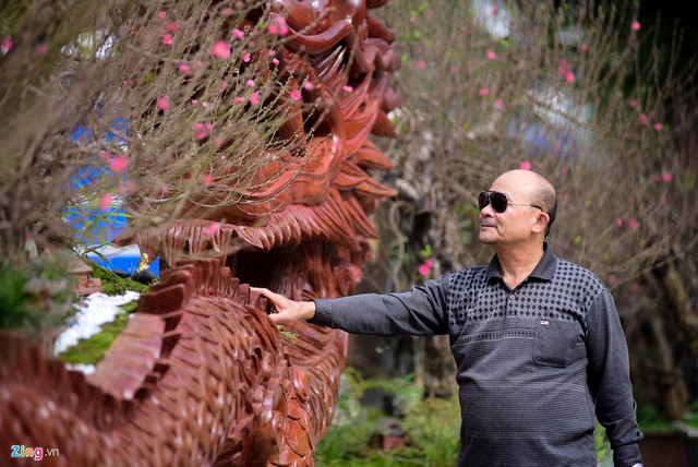 Chậu hoa đào hình rồng giá hơn 1 tỷ chỉ đại gia mới có tiền mua - Hình 5 Chau hoa dao hinh rong gia hon 1 ty chi dai gia moi co tien mua-Hinh-5