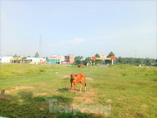 Dự án nhà ở Đại Nam từng muốn hiến 127 lô đất nhưng không ai nhận giờ ra sao? - Hình 3 Du an nha o Dai Nam tung muon hien 127 lo dat nhung khong ai nhan gio ra sao?-Hinh-3