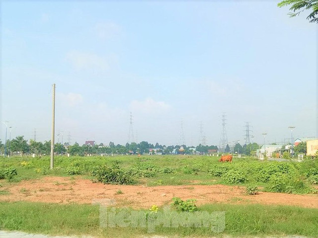 Dự án nhà ở Đại Nam từng muốn hiến 127 lô đất nhưng không ai nhận giờ ra sao? - Hình 4 Du an nha o Dai Nam tung muon hien 127 lo dat nhung khong ai nhan gio ra sao?-Hinh-4