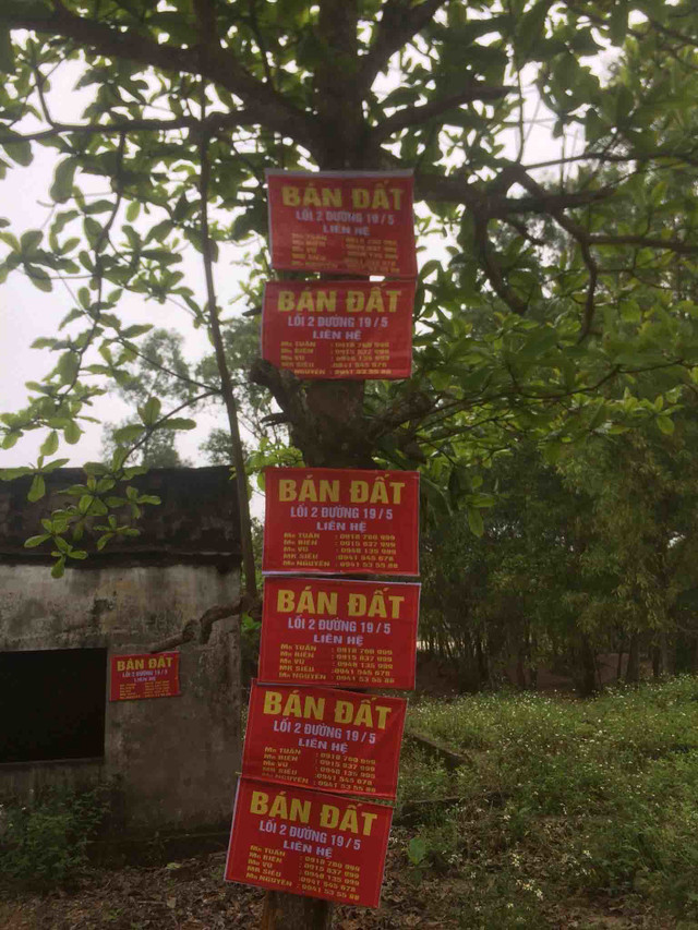 'Cò' đất khuấy động làng quê Hà Tĩnh, vài ngày lại 'bay sạch' 'Co' dat khuay dong lang que Ha Tinh, vai ngay lai 'bay sach'