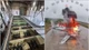 Thành công chiến dịch "Mạng nhện" bộc lộ điểm yếu phòng thủ của Nga