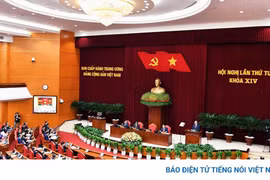 Đừng chỉ 'săn' nhân tài, hãy trao cho họ quyền để tạo ra kết quả