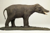 Sốc khi thấy 'phiên bản lỗi' của loài voi gần 40 triệu năm trước 