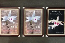 Coi chừng ‘đột tử’ vì lan đột biến