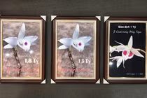 Coi chừng ‘đột tử’ vì lan đột biến