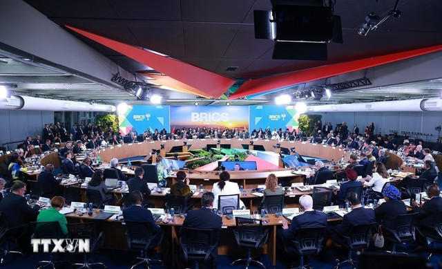 Quang cảnh phiên thảo luận. (Ảnh: TTXVN) brics.jpg