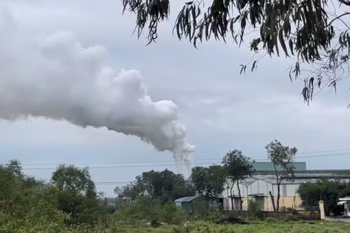 Quảng Ngãi: Nhà máy viên nén sinh khối phủ bụi đen khu dân cư