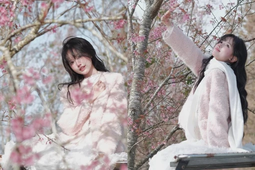 'Rich kid' Pun đốn tim với bộ ảnh check-in với hoa mai anh đào ngọt ngào