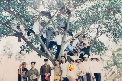 'Không leo cây đời không nể', mốt chụp ảnh độc lạ của thế hệ 8x, 9x đời đầu