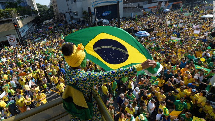 Tên của quốc gia Brazil được đặt theo tên một loài cây được trồng rất nhiều dọc bờ biển.