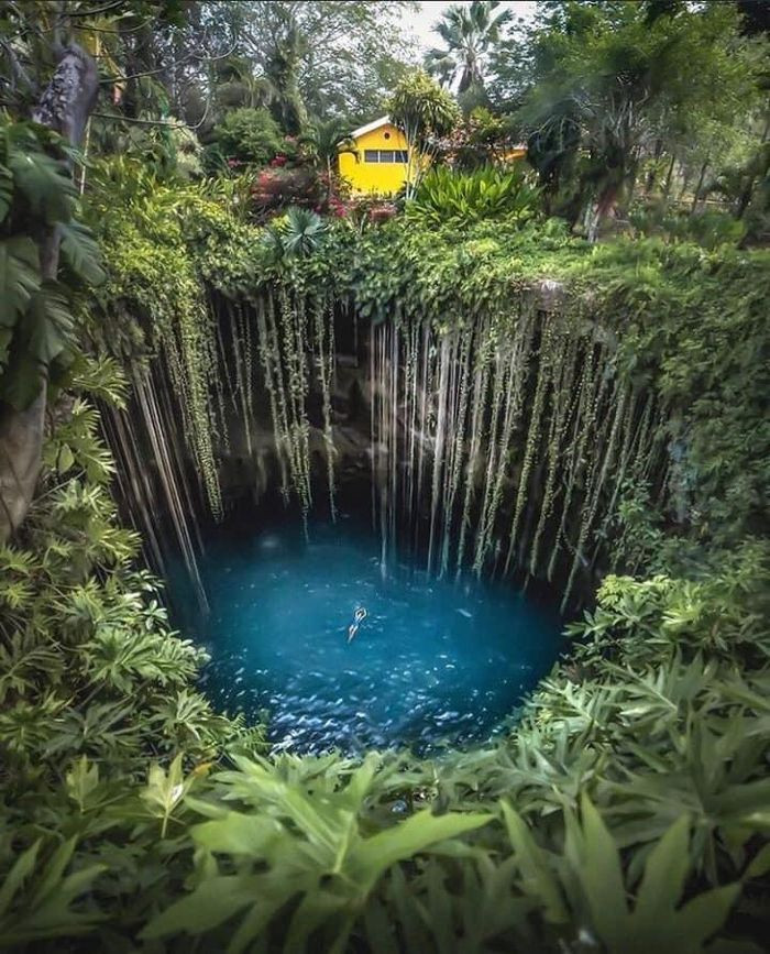 Cenotes là hố tự nhiên nằm ở bán đảo Yucatán (Mexico), được hình thành do sự sụp đổ của những tảng đá vôi khổng lồ, làm lộ ra một hang nước ngầm khổng lồ ở phía dưới.
