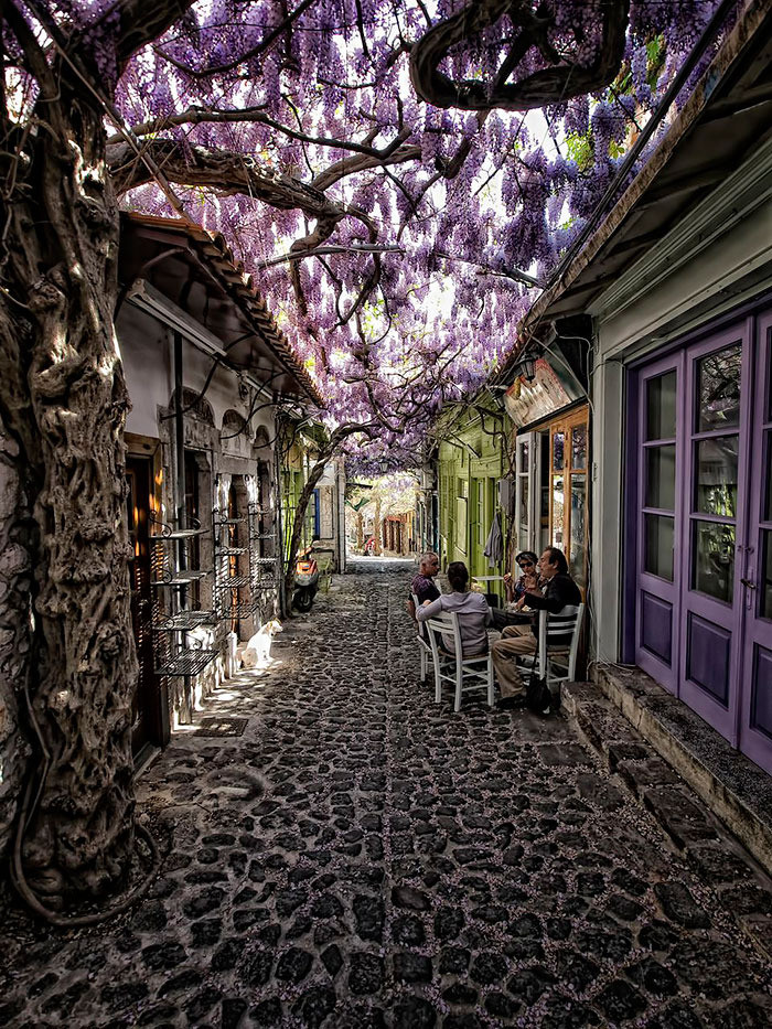 Con đường tuyệt đẹp này ở Molyvos, Lesbos, Hy Lạp. Ảnh: BP.