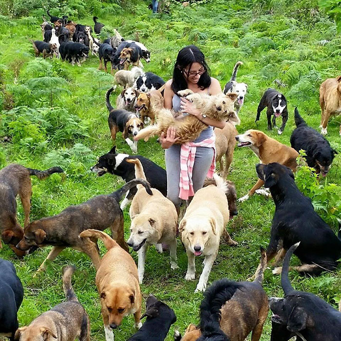 Land of the Strays, một vùng đất ở Costa Rica có tên thực là Territorio de Zaguates. Tuy nhiên cái tên Territorio de Zaguates ít được nhắc đến bởi nơi đây thực sự đã trở thành vùng đất thần tiên của những con chó lang thang, chó mồ côi, cơ nhỡ, đi lạc. (Theo Boredpanda)
