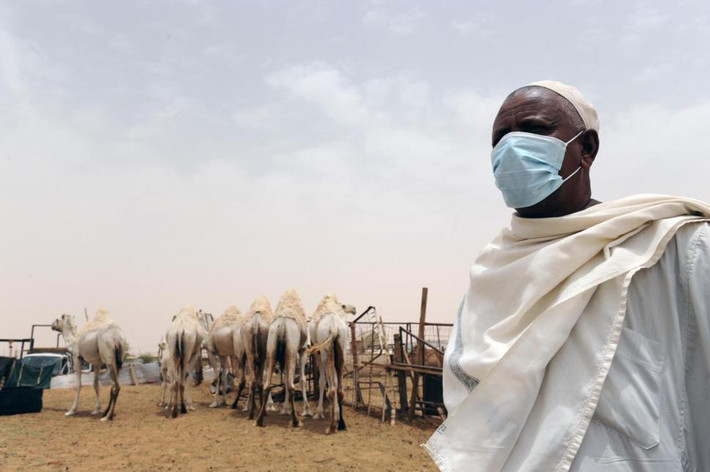 MERS-CoV có thể lây truyền trực tiếp từ người sang người thông qua tiếp xúc gần hoặc giọt nước bọt nhỏ. Việc lây nhiễm sang cán bộ y tế đã được xác định tại một số chùm ca bệnh ở Ả Rập Xê Út, Jordan.