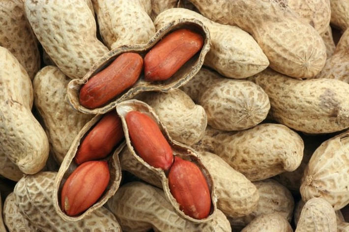Aflatoxin được tìm thấy rộng rãi trong đời sống hàng ngày. Ngoài ra, nấm trắng ngâm lâu ngày cũng sẽ sinh ra một lượng lớn aflatoxin, không thích hợp để thường xuyên sử dụng.