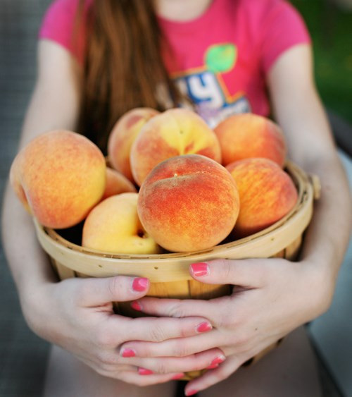 Nếu bạn tìm thấy đào được đóng hộp bày bán vào mùa đông thì nên tránh. Loại quả này ăn vào thời điểm này không còn tốt cho sức khỏe vì nó đã được tẩm ướp chất bảo quản giúp quả tươi lâu.