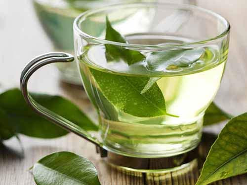 Trà xanh: Trà xanh có tác dụng điều chỉnh và hạn chế sự phát triển của ung thư bằng cách tiêu diệt tế bào gây ung thư. Uống trà xanh thường xuyên giúp cơ thể bạn thải độc chỉ và giảm tới 18% nguy cơ mắc bệnh ung thư.