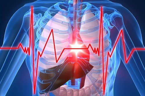 Dưới đây là một số bài thuốc giúp phòng đột quỵ, nhồi máu cơ tim được đánh giá là khá hiệu quả bạn có thể sử dụng. Ảnh: Sống khỏe.