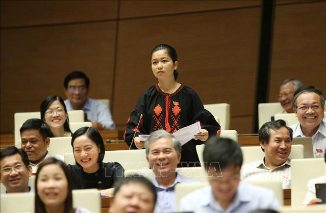 Cụ thể, tại phiên chất vấn chiều 6/11/2020, kỳ họp thứ 10 của Quốc hội nữ đại biểu Ksor H’Bơ Khăp (Gia Lai) nhắc lại câu nói Bộ trưởng Bộ TN&MT Trần Hồng Hà rằng "Thủy điện nhỏ không có lỗi trong bão lũ, sạt lở ở miền Trung những ngày qua mà là do trời mưa, địa chất bị đứt gãy". Đồng thời đặt câu hỏi: "Vậy Bộ trưởng cho biết, thời gian tới, Bộ trưởng vẫn tiếp tục ủng hộ việc xây dựng, phát triển thủy điện nhỏ đúng không?".