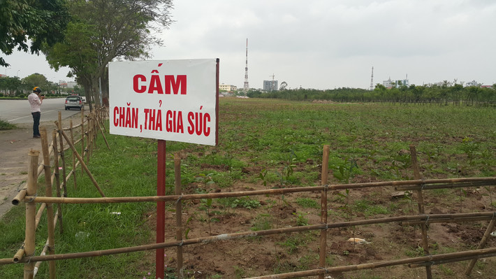 Theo đó, khu vực nghiên cứu quy hoạch thuộc phường Hải Tân (TP Hải Dương), phía Bắc giáp đường Trương Đỗ và khu dân cư sau phố Chương Dương; phía Nam giáp đường Tôn Đức Thắng, Bộ Chỉ huy Quân sự tỉnh và Khu đô thị mới phía Đông thành phố Hải Dương; phía Đông giáp đường Thanh Niên và Khu đô thị mới phía Đông thành phố Hải Dương; phía Tây giáp đường quy hoạch phía sau Đài phát thanh truyền hình tỉnh, Thư viện tỉnh.