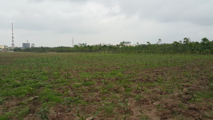 Toà nhà làm việc các Sở, ban, ngành thuộc UBND tỉnh và các hạng mục phụ trợ phục vụ hoạt động của toà nhà: Gồm 1 toà nhà cao 20 tầng và 1 toà nhà cao 22 tầng (trong đó có 1 tầng kỹ thuật và 1 tầng áp mái); diện tích sàn xây dựng 44.670m2; công năng chính là nơi làm việc của 18 Sở, ban, ngành và bộ phận một cửa liên thông (gồm 17 cơ quan chuyên môn thuộc UBND tỉnh và Ban Quản lý các Khu công nghiệp tỉnh); các công trình phụ trợ (san nền, cổng, hàng rào, đường giao thông nội bộ, hệ thống thông tin liên lạc, hệ thống thoát nước mưa, nước thải, cây xanh, hệ thống cấp điện, chiếu sáng, cấp nước sạch). Khái toán tổng mức đầu tư khoảng 1.750 tỷ đồng theo hình thức Hợp đồng Xây dựng - Chuyển giao (BT).