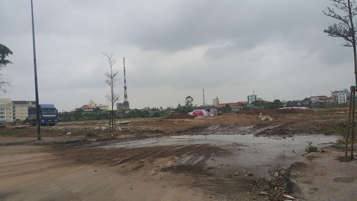 Doanh nghiệp san nền tiếp tục ươm cây xanh.