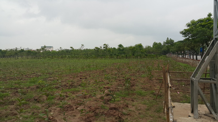 Quy mô tổng diện tích đất quy hoạch 18,7294ha; bao gồm 2 khu: Khu 1 (phía bắc đường Tôn Đức Thắng): 16,9155ha; Khu 2 (phía nam đường Tôn Đức Thắng): 1,8139ha. Dự án xây dựng Khu hành chính tập trung tỉnh Hải Dương có quy mô đầu tư gồm Toà nhà HĐND - UBND và Đoàn Đại biểu Quốc hội tỉnh và các hạng mục phụ trợ phục vụ hoạt động của Toà nhà: Chiều cao công trình 7 tầng; diện tích xây dựng 4.010m2, diện tích sàn xây dựng 16.284 m2; các công trình phụ trợ (san nền, cổng, hàng rào, đường giao thông nội bộ, hệ thống thông tin liên lạc, hệ thống thoát nước mưa, nước thải, cây xanh, hệ thống cấp điện, chiếu sáng, cấp nước sạch).