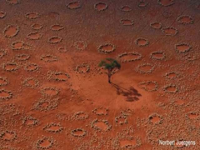 Trong số những nước ghi nhận sự xuất hiện của "vòng tròn thần tiên" có Namibia và Australia. Hai nơi này được nhiều người biết đến nhất bởi vì có những cấu trúc thực vật hình tròn bí ẩn nhưng bên trong là mảng đất trống. Trong suốt nhiều năm, các chuyên gia nỗ lực nghiên cứu nhằm giải mã sự hình thành của chúng.