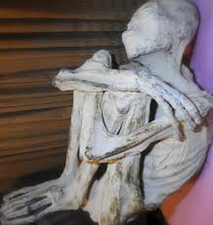 Thêm nữa, Maria có xương hộp sọ kéo dài về phía sau và xương hàm dưới không cử động được, tạo thành một khối liền với hộp sọ.