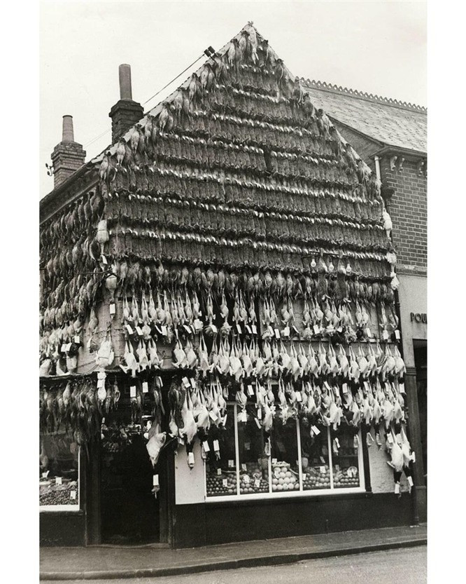 Nhiều loại thịt được treo bên ngoài cửa hàng bán thịt ở High Wycombe, Buckinghamshire, Anh.